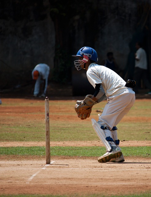 Assessing the Financial Viability of Smaller Cricketing Nations