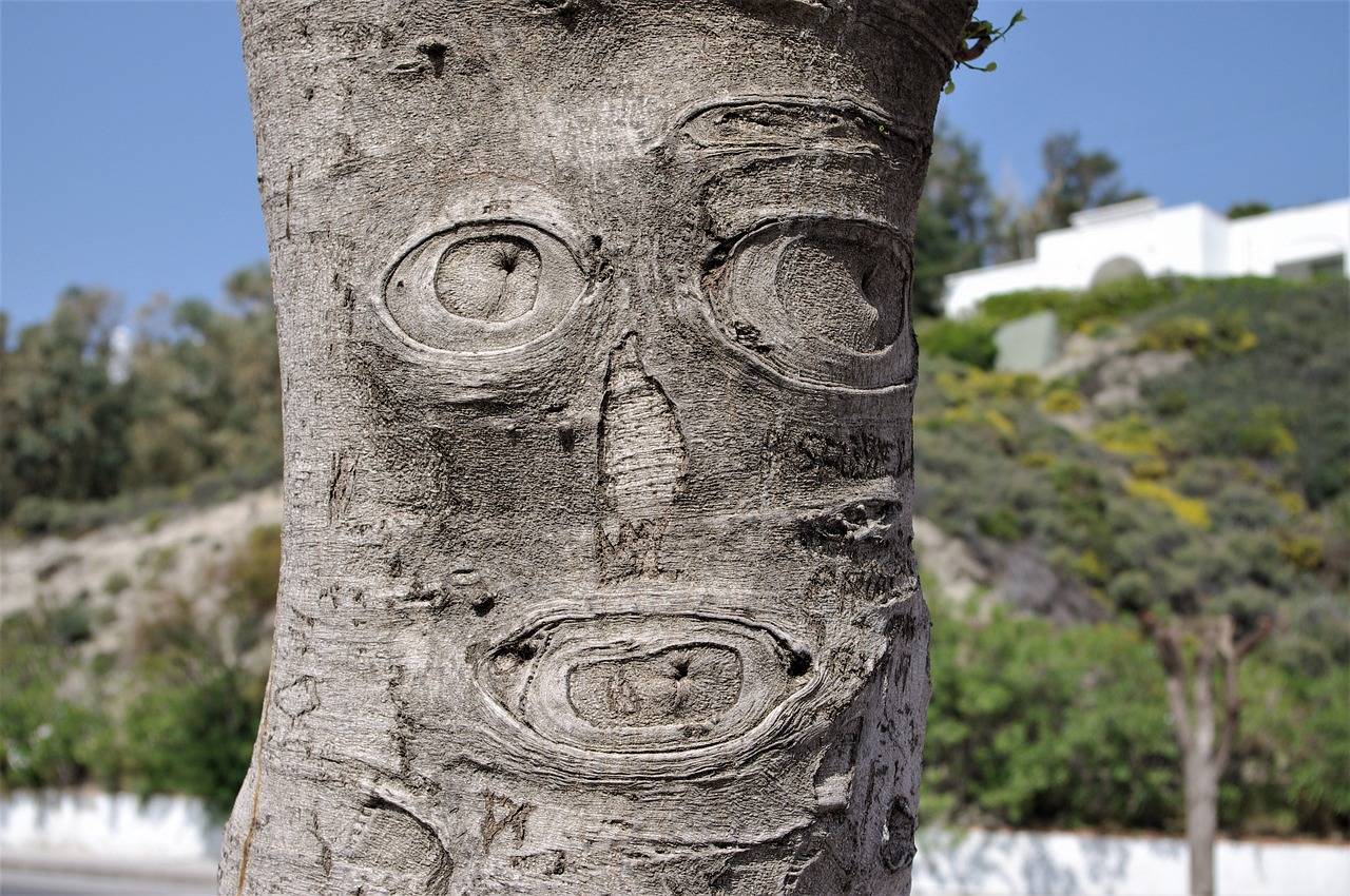 Playexch Review 2024: How Playexch 247 Is Transforming the Indian Gaming Exchange Landscape